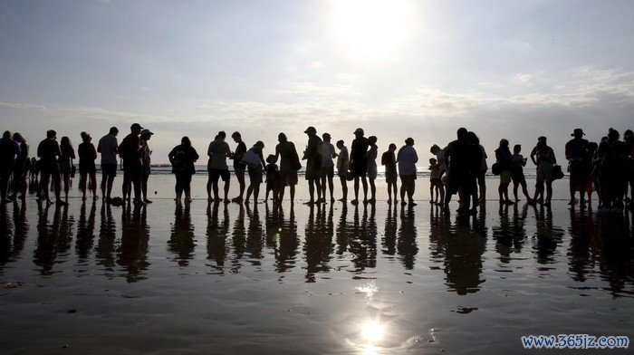 Tourists prepare to release baby sea turtles at Kuta beach, Bali, Indonesia on Tuesday, July 23, 2024. About three hundred newly hatched Lekang turtles were released during a campaign to save the endangered sea turtle. (AP Photo/Firdia Lisnawati)